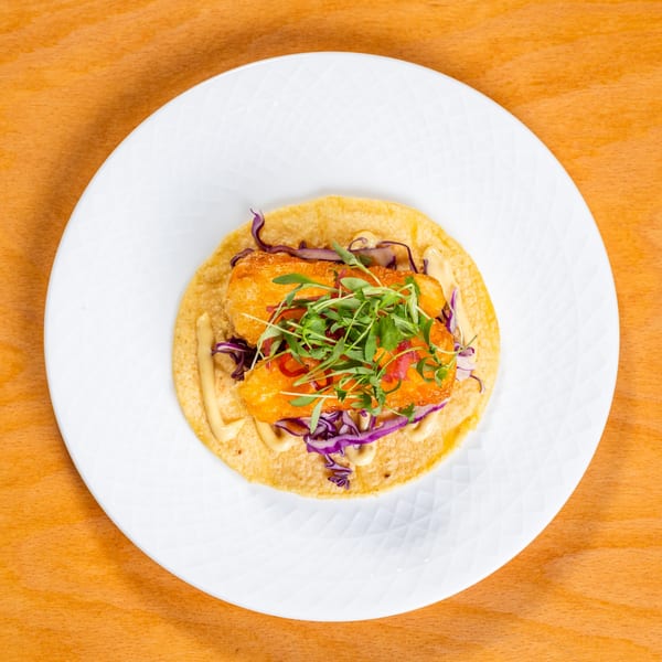 A fish taco with fried fish, purple cabbage, and microgreens on a white plate.